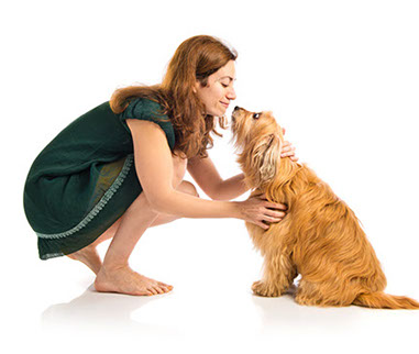 éducation canine - comportementaliste canin à domicile en corse